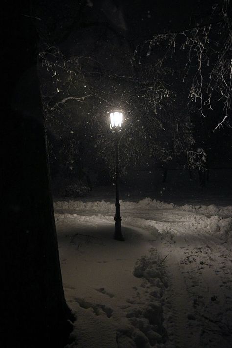 dark winter snow aesthetic. Dark christmas. Snow storm snow in city lamp post Snow Aesthetic Dark, Winter Snow Aesthetic, Scenery Images, Snow Aesthetic, Snow Night, Snow Pictures, Dark Christmas, Night Scenery, Deep Winter