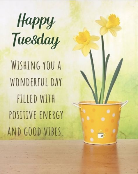 Good morning 🌞 Have a terrific Tuesday. 💋💜 Tuesday Morning Wishes, Tuesday Quotes Funny, Good Morning Tuesday Wishes, Have A Terrific Tuesday, Happy Tuesday Images, Tuesday Vibes, Happy Tuesday Morning, Tuesday Quotes Good Morning, Tuesday Images