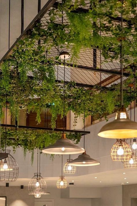 Resturant Celling Ideas, Plants Restaurant Design, Hotel Plants, Outdoor Restaurant Design, Plant Installation, Home Backyard, Room Cozy, Coffee Shops Interior, Home Garden Decor