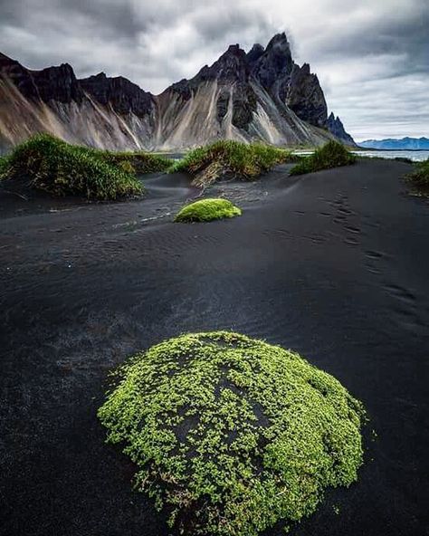 Iceland, Amazing Nature, Visit Iceland, Iceland Travel, Black Sand, Recipe Inspiration, Land Scape, Dream Vacations, Wonders Of The World