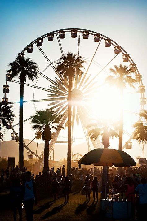 Coachella Photography, Coachella 2012, Music Festival Camping, Palm Tree Pictures, Coachella Vibes, Festival Photography, Ultra Music Festival, Festival Camping, Coachella Festival