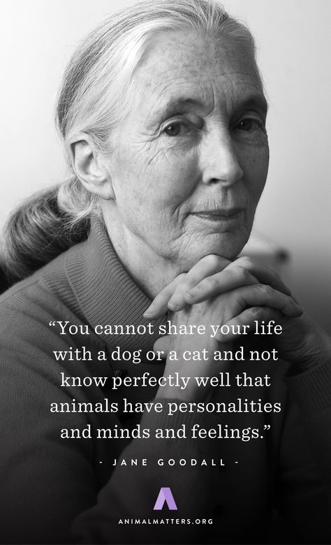 Jane Goodall Animal Rights Quote "You cannot share your life with a dog or a cat and not know perfectly well that animals have personalities and minds and feelings" Animal Activist Aesthetic, Animal Rights Art, Animal Quotes Inspirational, Quotes About Animals, Life With A Dog, Animal Rights Quotes, Mots Forts, Animals Quotes, Campaign Design