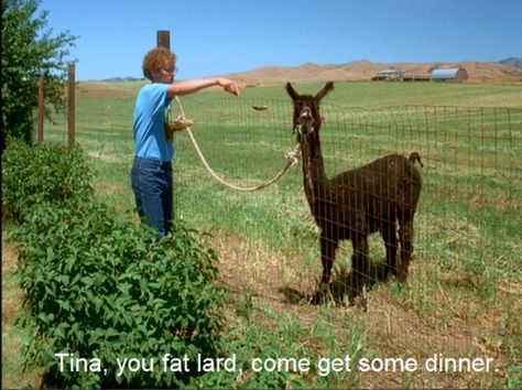 Napoleon Dynamite. Tina, you fat lard, come and get some dinner. Funny Films, Tumblr, Humour, Napoleon Dynamite, Napoleon Dynamite Characters, Napoleon Dynamite Quotes, Tina You Fat Lard, Movie Lines, Funny Movies