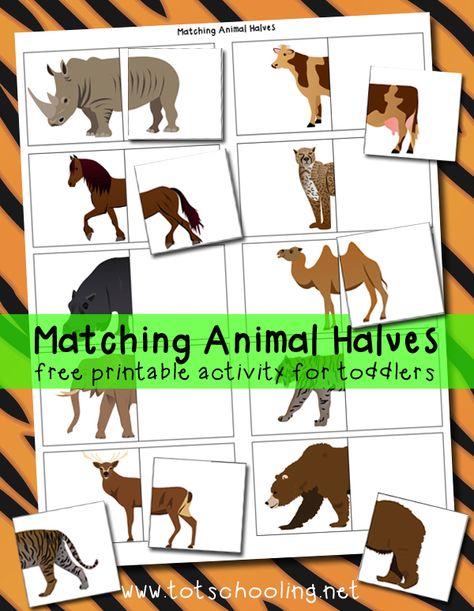 Great for distributing to students to find their pairs/partners !  Plus, it's free! - Matching Animal Halves Free Printable Zoo Preschool, Zoo Activities, Dear Zoo, File Folder Activities, Free Printable Activities, Aktivitas Montessori, Animal Activities, Matching Activity, Tot School