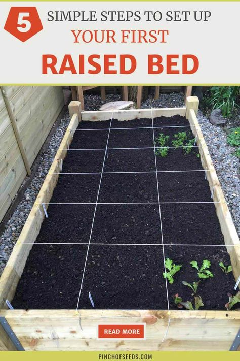 Easy Raised Garden Bed, Raised Garden Beds Diy Vegetables, Metal Garden Beds, Garden Bed Ideas, Garden Bed Layout, Vegetable Beds Raised, Raised Vegetable Gardens, Diy Garden Bed, Vegetable Garden Raised Beds