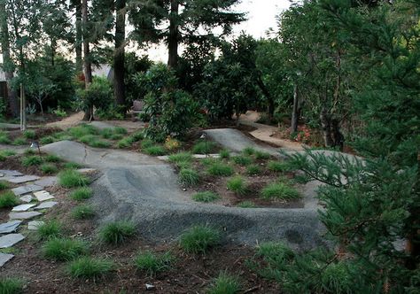 Show Off Your Backyard Pumptrack (Or One You Dream About) - The Hub - Mountain Biking Forums / Message Boards - Vital MTB Backyard Pumptrack, Xeroscaping Backyard, Dream Bungalow, Bike Pump Track, Bmx Track, Dirt Bike Track, Backyard Skatepark, Eclectic Garden, Playground Garden