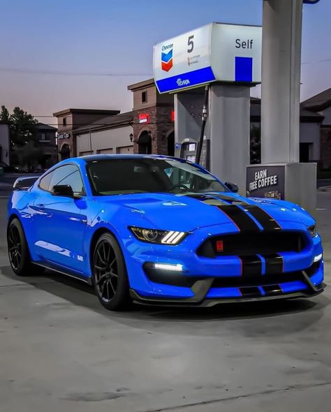 So Blue 🔵 #mustang #fordmustang #fordmustanggt #mustanglife Hot Cars Wallpapers, Nice Sports Cars, Mustang Shelby Gt 500, New Tesla Roadster, Auto Ford, Trunk Ideas, Cool Truck Accessories, Mustang Car, Futuristic Shoes