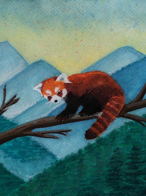 Pandas, Red Panda Acrylic Painting, Red Panda Painting Easy, Red Panda Painting Acrylic, Red Panda Watercolor, Red Panda Sketch, Red Panda Painting, Red Panda Drawing, Aesthetic Watercolour