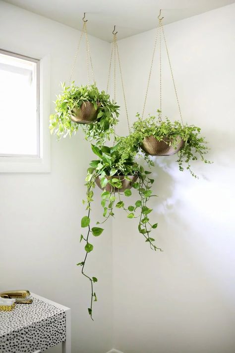 Plants In Pots, Plants Hanging, Diy Hanging Planter, Plant Room, Hanging Planters Indoor, Trendy Plants, Hanging Plants Indoor, Decoration Plante, Bathroom Plants