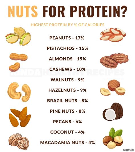 Protein Nuts And Seeds, Best Nuts To Eat For Protein, Protein In Nuts And Seeds, High Fiber Nuts And Seeds, High Protein Seeds, High Protein Nuts And Seeds, Healthy Snacks Protein, Healthy Nuts And Seeds, Healthy Proteins