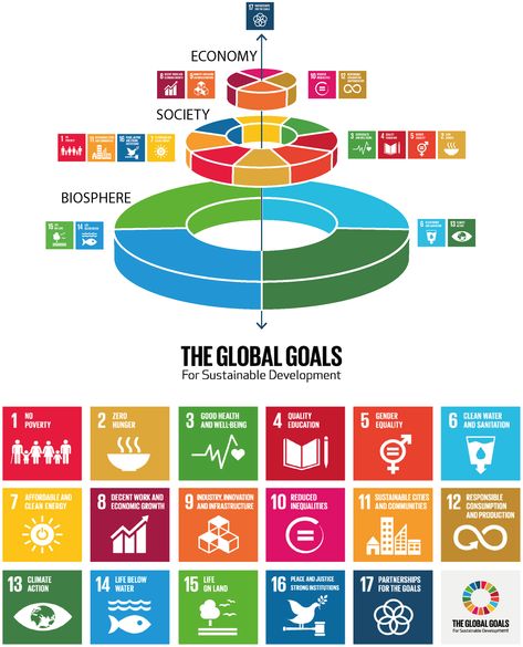 17 Sdg Goals, 17 Sustainable Development Goals, World Knowledge, Sustainable Development Design, Sdgs Goals, Sustainable Goals, Un Global Goals, Sustainable Development Projects, Sustainability Education