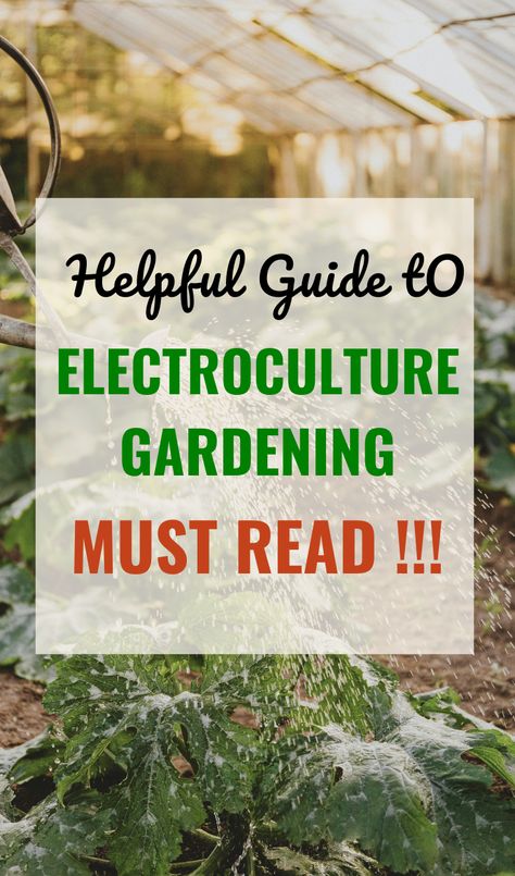 New to Electroculture Gardening? Here's our beginner's guide for everything you need to know about electroculture plant set up! Discover the fundamentals of this innovative gardening technique, from understanding its principles to practical tips for implementation. / electroculture gardening diy electroculture plants electroculture gardening ideas / Electromagnetic Gardening, Electroculture Gardening Diy, Electroculture Antenna Diy, Electro Culture Gardening, Electro Gardening, Electroculture Gardening, Electro Culture, Chook House, Air Energy