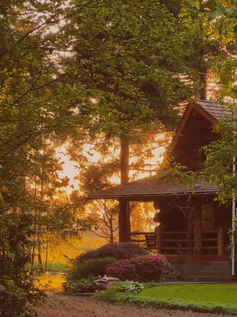 #cabin #summer #airbnb #travel Cottage In The Woods Aesthetic, Cabin In The Woods Aesthetic, Cozy Cabin Aesthetic, Cabin Summer, Summer Camp Aesthetic, Big Cabin, Wilderness Cabins, Vacation Images, Old Cabin