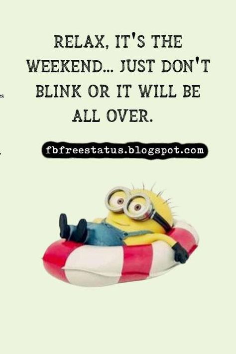 weekend quotes funny, happy weekend images Funny Hello Quotes, Weekend Quotes Funny Humor, Water Quotes Funny, Weekend Humor Funny, Happy Weekend Quotes Funny, Weekend Funny Quotes, Relax Quotes Funny, Blessed Weekend Quotes, Weekend Vibes Quotes