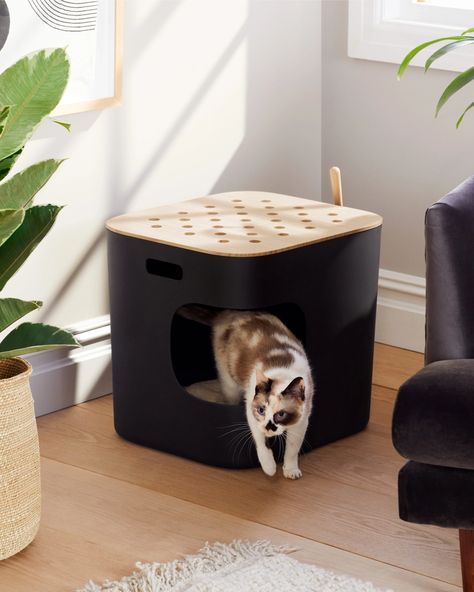 Litter Furniture, Litter Box Ideas, Cat Litter Furniture, Hiding Cat Litter Box, Hidden Toilet, Hidden Litter Boxes, Kitten Accessories, Real Cat, Cat Litter Box Enclosure