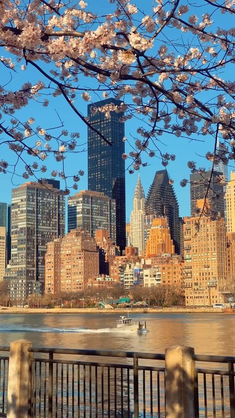 Manhattan New York Wallpaper, Manhattan Aesthetic Wallpaper, Aesthetic City Wallpaper Iphone, Nyc Spring Aesthetic, Mew York Aesthetic, New York Manhattan Aesthetic, New York City Aesthetic Wallpaper, New York In Spring, New York Aesthetic Wallpaper