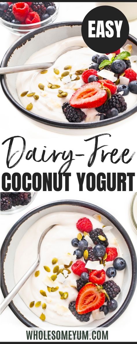 Dairy Free Coconut Yogurt Recipe How To Make Your Own Dairy Free Yogurt, Fermented Coconut Yogurt, Coconut Greek Yogurt Recipe, Dairy Free Greek Yogurt Recipe, Coconut Cream Yogurt Recipe, Diy Non Dairy Yogurt, Vegan Coconut Yogurt Recipe, Coconut Greek Yogurt, How To Make Coconut Yogurt At Home