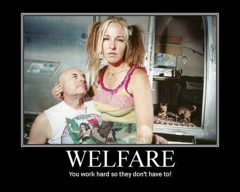 Welfare State, Funny Quotes, Akita, Humour, Motivational Posters, An Inconvenient Truth, Twisted Humor, Get Over It, I Laughed