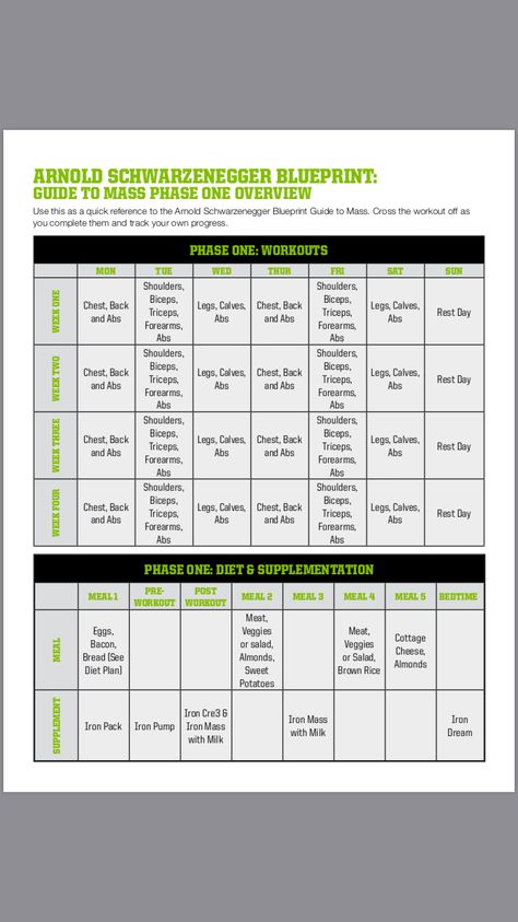 Arnold workout Arnold Split Workout, Arnold Blueprint, Arnold Workout, Balance Hormones Naturally, Balance Hormones, Training Workouts, Phase One, Leg Extensions, Weight Training Workouts