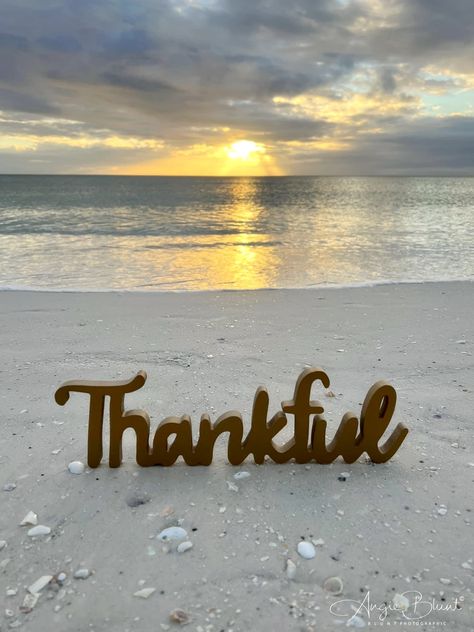 Fall Beach, Thanksgiving Pictures, Thanksgiving Greetings, Mexico Beach, Ocean Quotes, Surf Lifestyle, Fall Halloween Crafts, Beach Quotes, New Year Holidays