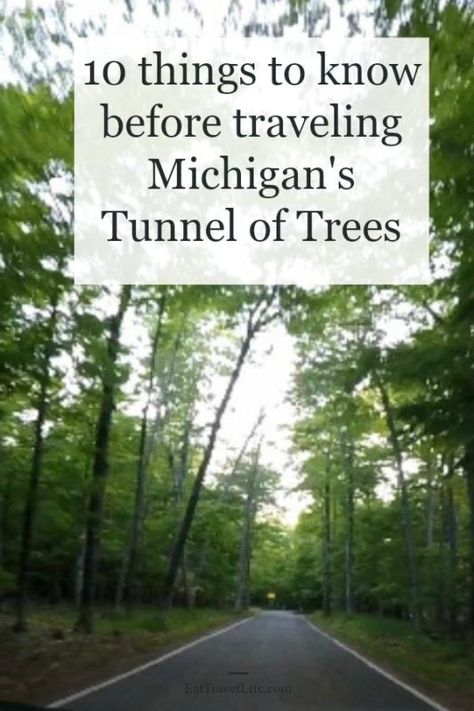 Tunnel Of Trees Michigan, Harbor Springs Michigan, Tunnel Of Trees, Munising Michigan, Ludington Michigan, Midwest Vacations, Travel Michigan, Michigan Adventures, Michigan Girl