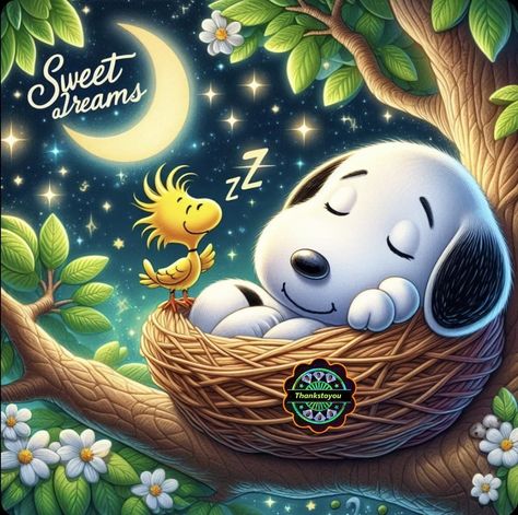 Sleeping Snoopy - Sweet Dreams Sleeping Snoopy, Cute Good Night Messages, Snoopy Sleeping, Sweet Dreams Pictures, Dreams Pictures, Goodnight Snoopy, Snoopy Cartoon, Good Night Funny, Evening Quotes