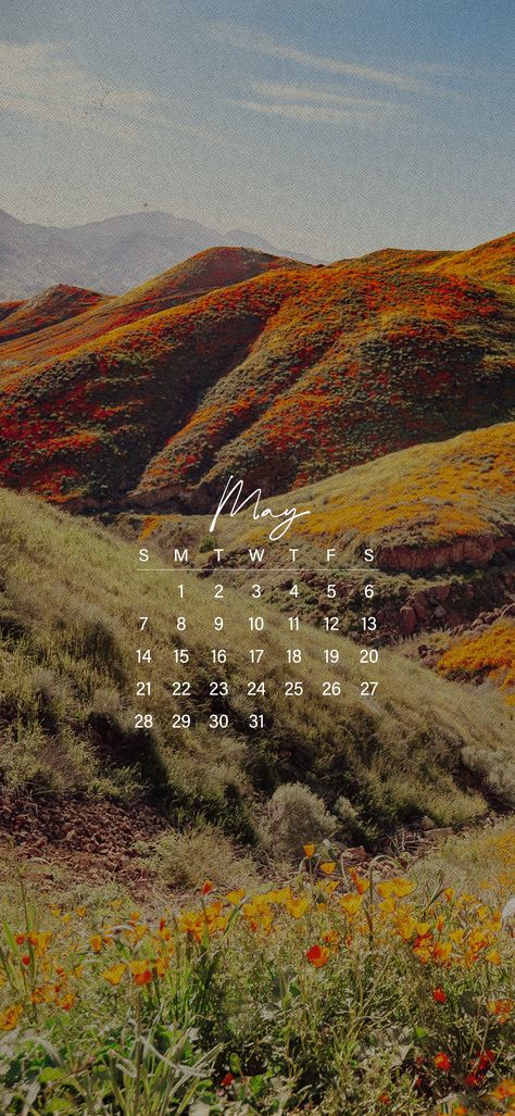 May wallpaper featuring a 2023 May Calendar overlaid on an image of rolling hillsides covered in orange flowers from the California superbloom. May 2023 Calendar Wallpaper, May Background, California Superbloom, May 2023 Calendar, 2023 Calendar Wallpaper, Iphone Setup, Phone Screensaver, 2023 Calendar, Calendar Wallpaper