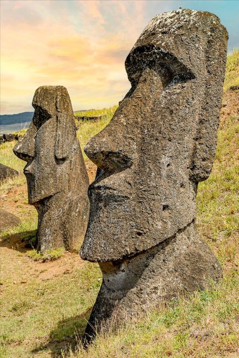 Moai sculptures at Rano Raraku on Easter Island, Chile-Stock Photo Afro Hair Drawing, Easter Island Chile, Easter Island Statues, Easter Island Heads, Tiki Statues, Tiki Totem, European Sculpture, Modern Photographers, Plaster Wall Art