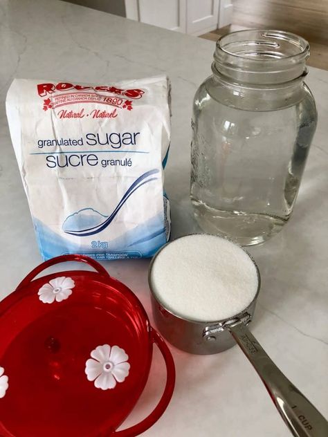 Hummingbird Feeder Recipe, Hummingbird Food Recipe, Sugar Water For Hummingbirds, Make Hummingbird Food, Homemade Hummingbird Nectar, Homemade Hummingbird Food, Hummingbird Water, Hummingbird Nectar Recipe, Chicory Salad