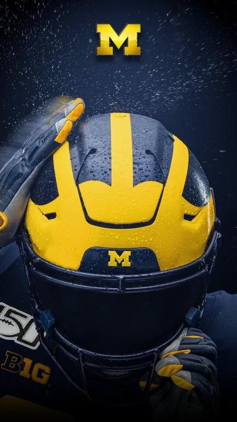 Michigan Wallpaper, University Of Michigan Logo, Torch Lake Michigan, Michigan Bucket List, Munising Michigan, Frankenmuth Michigan, Michigan Go Blue, Muskegon Michigan, Nfl Football Wallpaper