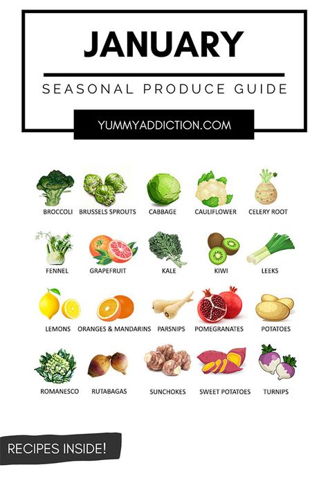 A seasonal produce guide highlighting fruits and vegetables that are at their best in January. Tips on how to use them and recipes inside! #produce #january #vegetables #fruits #seasonal Veggies In Season January, January Fruits And Vegetables, Essen, January Vegetables In Season, January Produce In Season, Vegetables In Season By Month, Seasonal Veggies And Fruits, Winter Fruit And Vegetables, Winter In Season Produce