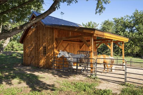 House And Barn Property Layout, Cross Ties For Horses, Small Horse Barn Ideas, Small Horse Stable, 2 Stall Horse Barn, 3 Stall Horse Barn, 4 Stall Horse Barn, Mini Horse Barn, Simple Horse Barns