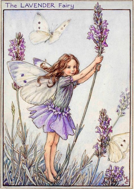 Alexandra Epps on Twitter: "💜 #PurpleDay #EpilepsyAwareness #CicelyMaryBarker #FlowerFairies @VenetiaJane… " Lavender Fairy, Fairy Stickers, Fairy Paintings, Fairy Images, Fairy Pictures, Cicely Mary Barker, Fairy Artwork, Wonderful Flowers, Flower Fairies