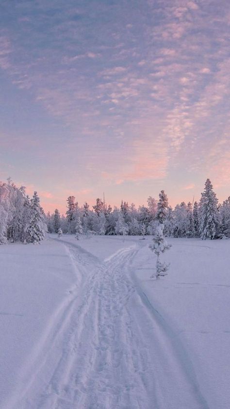 I Love Winter, Pretty Landscapes, Winter Love, Winter Wallpaper, Christmas Wonderland, Winter Scenery, Winter Pictures, Winter Wonder, Winter Aesthetic