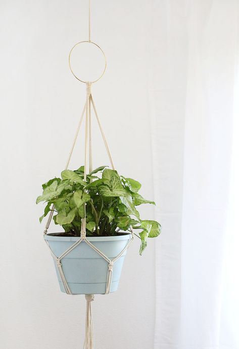 Diy Macrame Plant Hanger Pattern, Diy Macrame Wall Hanging, Rope Plant Hanger, Macrame Plant Hanger Tutorial, Simple Macrame, Diy Hanging Planter, Macrame Plant Hanger Patterns, Makramee Diy, Macrame Planter