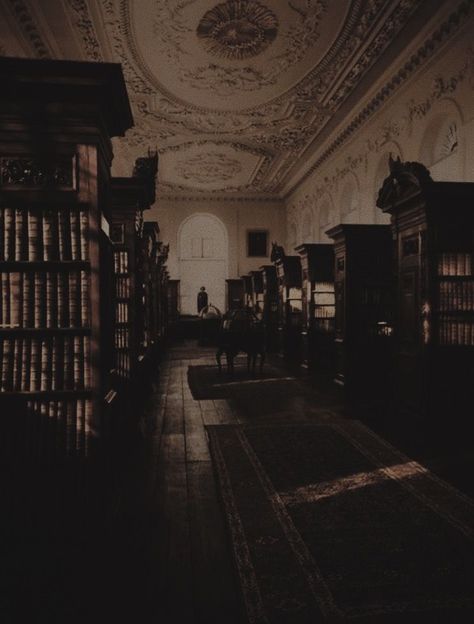 Spooky Academia, Pov Writing, Dark Library Aesthetic, Darkest Academia Aesthetic, Dark Academia Library, Dark Academia Goth, Dark Academia Book, Gothic Academia, Darkacademia Aesthetic