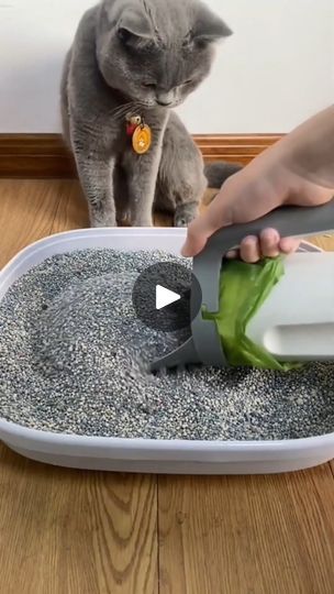 🥰Cleaning my cat's poop is a disaster.. Lucky I bought this Cat litter Scoop which makes it easy for me to clean up my place…. 😻🥰 🥰 🥰 😻❤ 👉 Shop In https://www.barkermeow.com/products/premium-integrated-cat-litter-scoop Follow @catmeowpa ! 😻🥰 🥰 🥰 -For credits or video removal, please dm. 📩 #catstiktok #catsofinstagram #tiktok #cat #catlover #cats #tiktokcat #catlovers #instacat #instatag #catoftheday #caturday #catlady #catsofworld #catsinstagram #catlitter #cat #catlitterbox #catlittersand | Purrfect Whiskers | Purrfect Whiskers · Original audio Cat Litter Scoop, Litter Scoop, Cat Litter Mat, Litter Mat, My Place, Cat Litter Box, Cat Stuff, Cat Litter, Litter Box