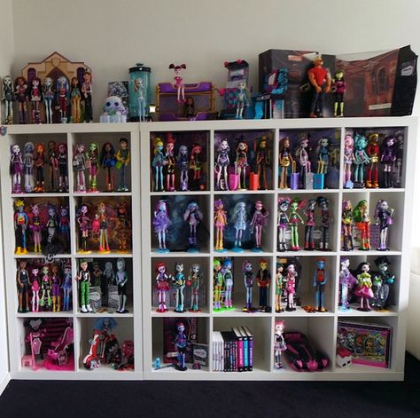 A Fan's Monster High Doll Collection! Wow! (This is not my photo, or collection...I just thought, that it was Awesome!) Monster High Doll Collection, Monster High Collection, Monster High Doll Accessories, Love Monster, Doll Display, Doll Collection, Monster High Doll, Monster High Dolls, My Photo