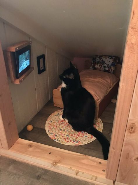 Guy Transforms Empty Space Behind Wall Into Tiny Bedroom For His Cat, Makes Other Cat Parents Feel Bad About Themselves Korean Bedroom, Katt Grejer, Söpö Kissa, Kat Diy, Cat Bedroom, Aesthetic Interior Design, Koci Humor, Cat House Diy, Bedroom Ideas Aesthetic