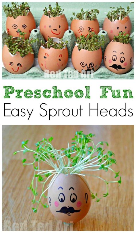 Childcare Activities, Cress Heads, Preschool Steam, Aktiviti Tadika, Steam Activity, Preschool Garden, Red Ted Art, Garden Activities, Spring Preschool