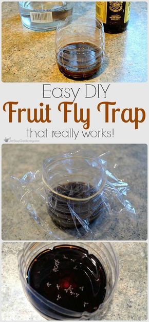 Fly Remedies, Diy White Vinegar, Diy Gnat Trap, Flies Trap Diy, Fruit Fly Catcher, Gardening In Florida, Vegetable Garden Planting Guide, Homemade Fruit Fly Trap, Fruit Fly Killer