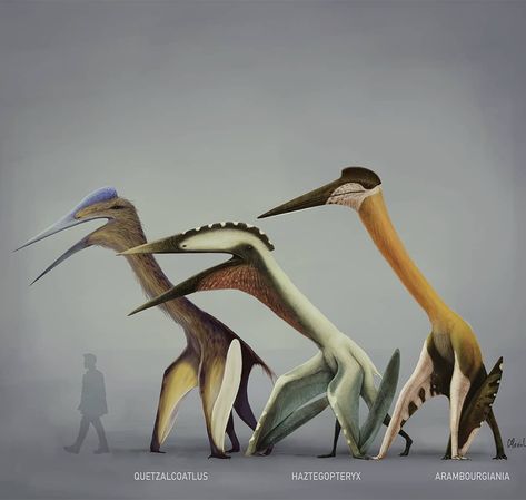 Mario Lanzas on Instagram: “✈️Gigants of the Cretaceous skies✈️ Azhdarchidae were the largest animal that ever flew. They lived during the Cretaceous period.…” Prehistoric Animals Dinosaurs, Prehistoric Wildlife, Cretaceous Period, Dinosaur Pictures, Dinosaur Illustration, Ancient Animals, Prehistoric Art, Dinosaur Funny, Paleo Art