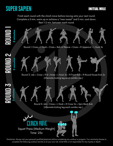 Inspired by Dragon Ball's human warrior, Krillin, this fighter fit workout will have warriors fighting their way through 3 rounds of kickboxing executing essential exercises that can help train overall strength, endurance, mobility and fight skills. Fight Skills, Fighting Exercises, Human Warrior, Warriors Fighting, Martial Arts Training Workouts, Fighter Workout, Army Workout, Roundhouse Kick, Bob Weave