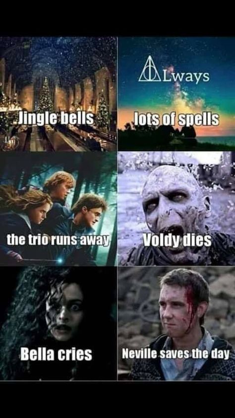 Read it in the tune of jingle bells 8 Movies 7 Books 1 Story Harry Potter, Quotes Harry Potter, Harry Potter Song, Harry Potter Mems, Citate Harry Potter, Glume Harry Potter, Tapeta Harry Potter, Funny Harry Potter Jokes, Potter Head