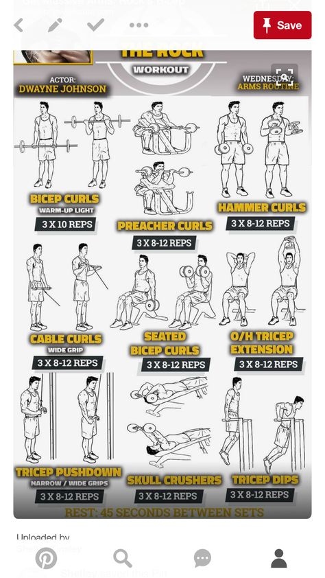 Rock arms Rock Workout, The Rock Workout, Arm Workout Routine, Bicep And Tricep Workout, Motivație Fitness, Arms Workout, Muscle Abdominal, Weekly Workout Plans, Wednesday Workout