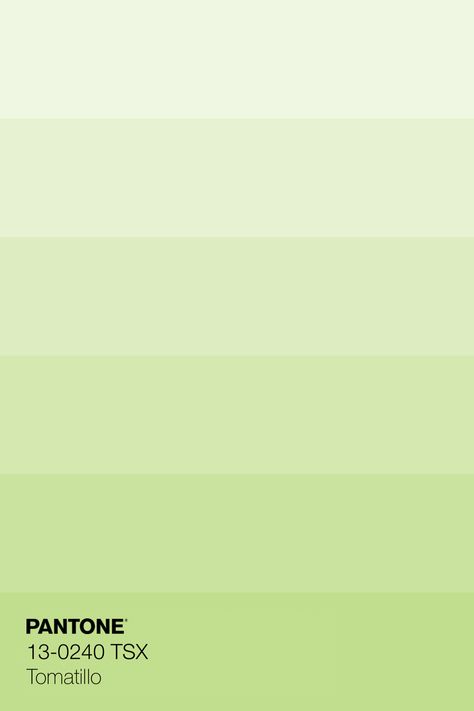 Pantone Pistachio Green, Green Pastel Pallete, Light Green Color Palette Pastel, Pastel Green Pallete, Pastel Green Pantone, Pastel Shades Colour Palettes, Green Pastel Color Palette, Pistachio Color Palette, Pastel Green Palette