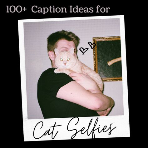 100+ Best Captions for Selfies With Cats. This is a collection of the best captions you can use on your selfies with cats. Best Captions For Selfies, Captions For Selfies, Marketing For Real Estate, Cat Captions, Best Captions, Cute Captions, Integrated Marketing, Perfect Captions, Selfie Captions