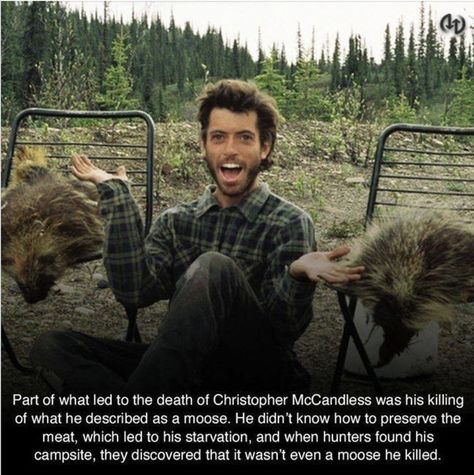 Everything That Had To Go Wrong For Chris McCandless To Meet His Fate Nature, Chris Mccandless Quote, Wild Movie Quotes, Chris Mccandless, Jon Krakauer, Christopher Mccandless, Wild Movie, Cole Swindell, Romanticising Life