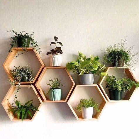 Hiasan Dinding Diy, Hexagonal Shelves, Projek Kayu, Honeycomb Shelves, Geometric Shelves, نباتات منزلية, Hexagon Shelves, Hiasan Bilik, Plant Decor Indoor