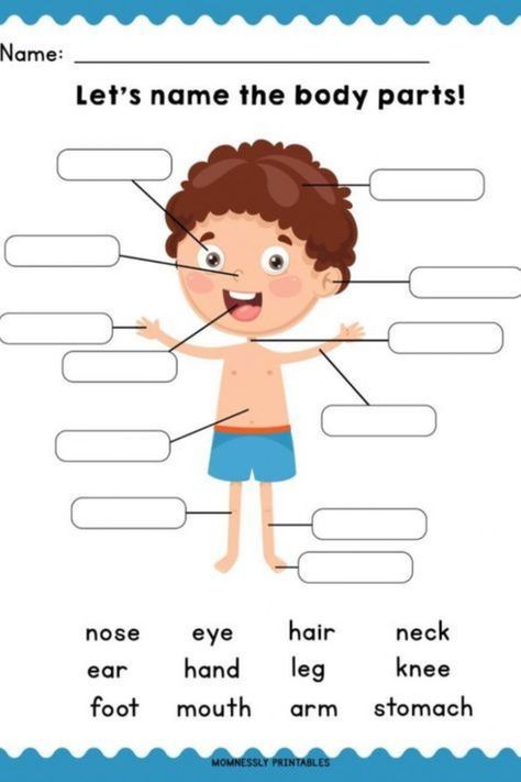 Body Parts online worksheet for Grade 3. You can do the exercises online or download the worksheet as pdf. Rozpoznawanie Liter, Aktiviti Prasekolah, Kertas Kerja Prasekolah, Body Parts For Kids, अंग्रेजी व्याकरण, Araling Panlipunan, Materi Bahasa Inggris, Body Preschool, Body Parts Preschool